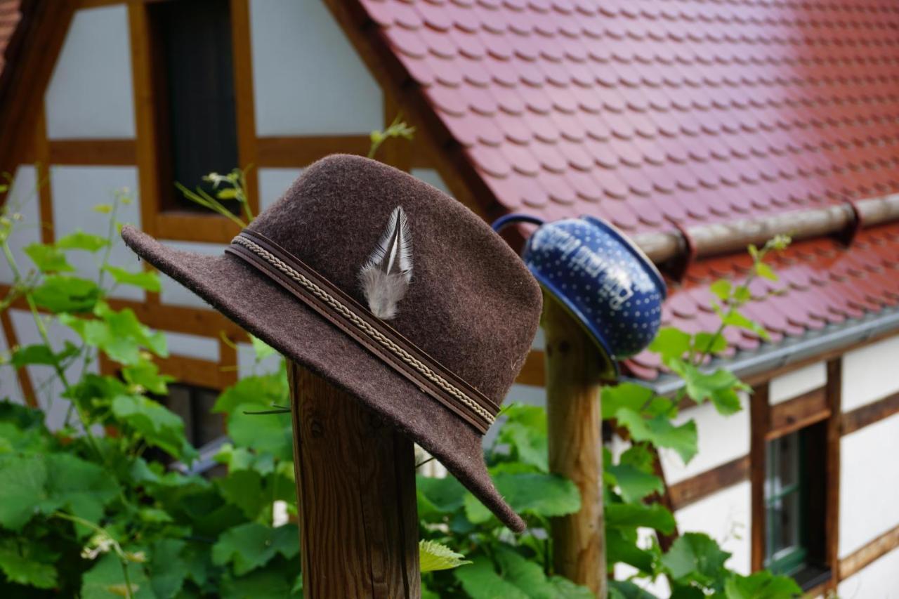 ホテル Balancehaus Kohren-Sahlis, Dein Kurhaus In Sachsen エクステリア 写真